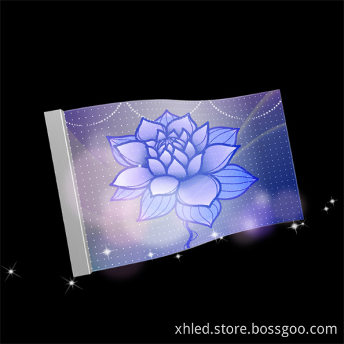 DC5V Adhesive Wall Indoor Flexible LED Transparent Film Screen for Glass Facade Advertising